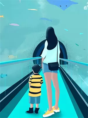 重生迪加之光明系统