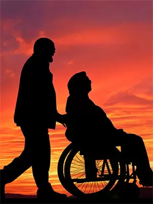 影后前妻很抢手 全文免费阅读