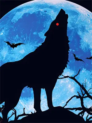 从魔法与科技穿越到魔法与斗气世界