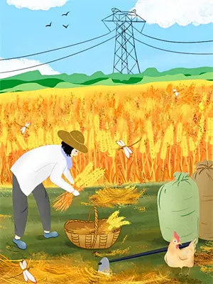 血与蔷薇
