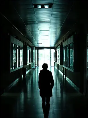 高考上岸什么意思