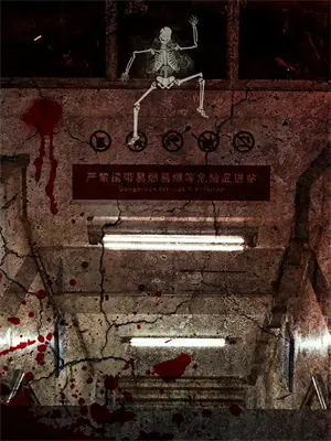 创飞所有人视频