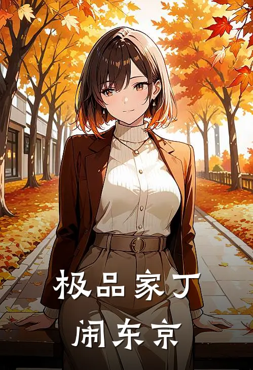 极品家丁闹东京