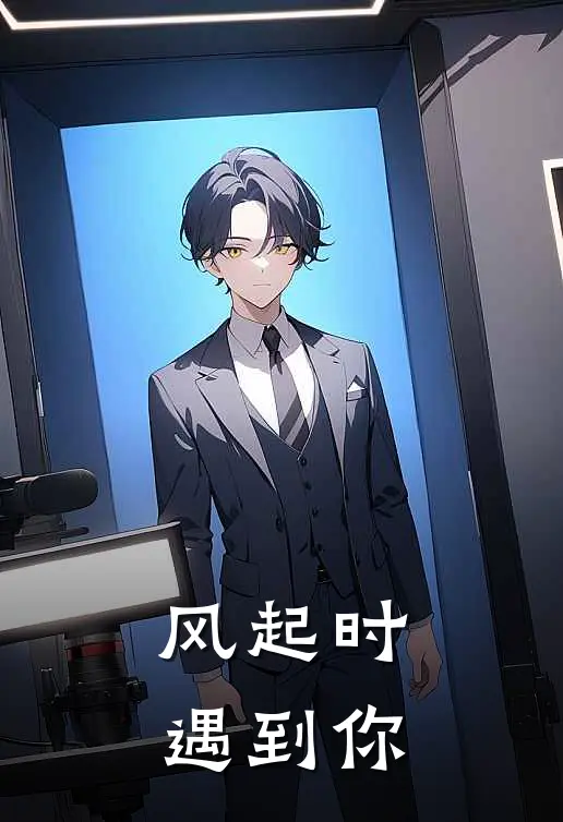 风起时遇到你