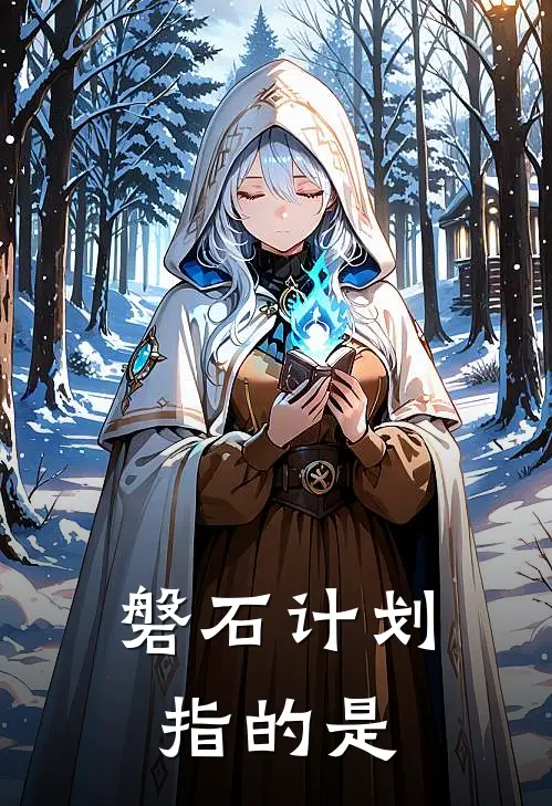 磐石计划指的是